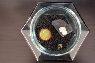 3D print plante terrarium