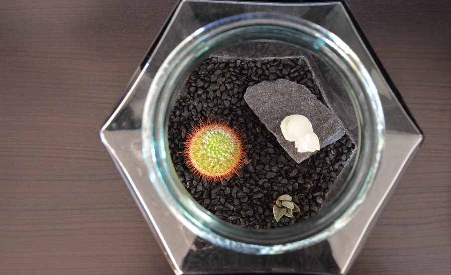 3D print plante terrarium